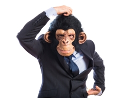 假如有一天黑猩猩問人類：我從哪裡來？