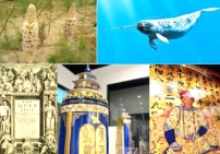 影音使團特備節目：步行探秘「不由你不信」福音體驗館