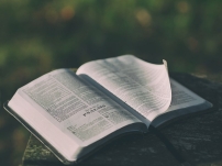 2024年《聖經》銷量激增  越多人轉向聖經尋求指引和穩定感