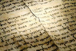 千年圣卷全貌首现！以色列博物馆60周年重磅展出《以赛亚书》全卷