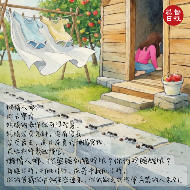 【守護家庭365】螞蟻的智慧