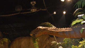 Creation Museum Revives Christian Debates Over Earth's Evolution