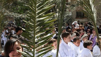 Pope Celebrates Palm Sunday Mass