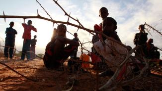 Somalia Drought: Failure of International Response is Killing Thousands