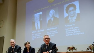 Japanese, Irish, Chinese Scientists Who Discovered Parasite Therapies Win Nobel Prize Awarded