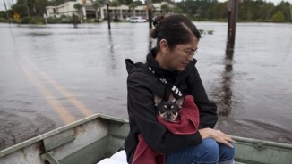 Rescuers in South Carolina Continue Search for Two Missing Amid 'Devastating' Flood Waters