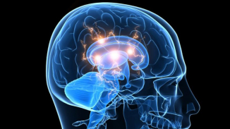 The Effects of Porn on Your Brain: How to Delete Porn from Your Brain