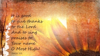 This Thanksgiving, Here's Why You Should Make a Blessing Box 