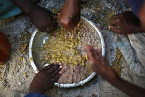 世界人口40年後增至68億 糧食生產存在壓力