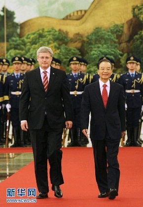 兩熊相遇
