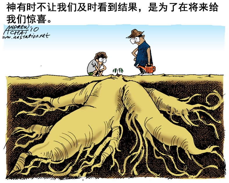 用信心生活（下）：神怎樣應許，就怎樣相信