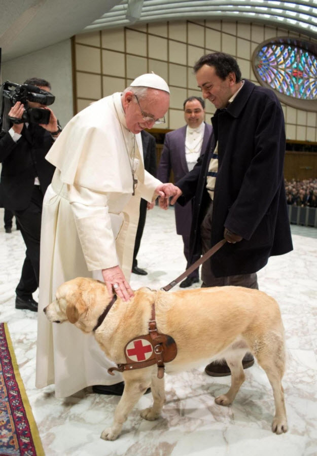 教宗疑指動物也可上天堂 引發神學爭議