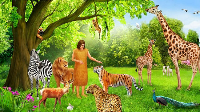 大棠荔枝園「疑虐動物事件」反思 創世記人與動物共融生活