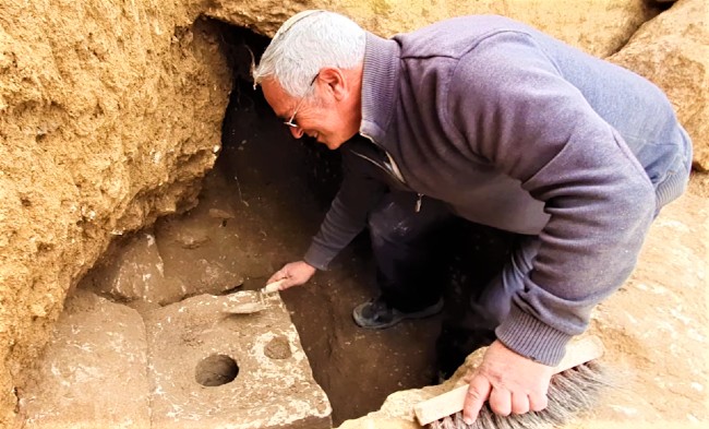 鐵器時代富人廁所出土 發現古代寄生蟲卵　