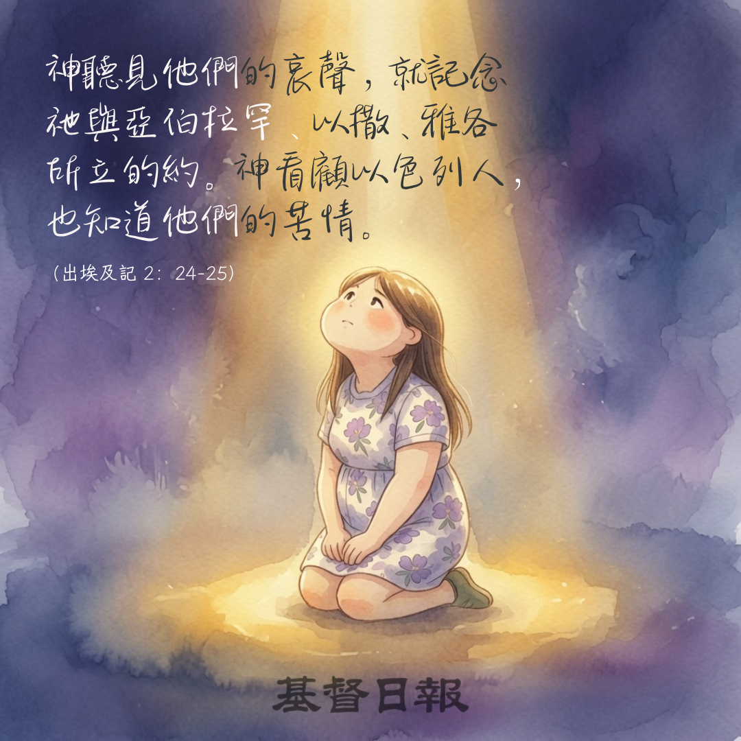 【守護家庭365】至高者聽見他們的哀聲